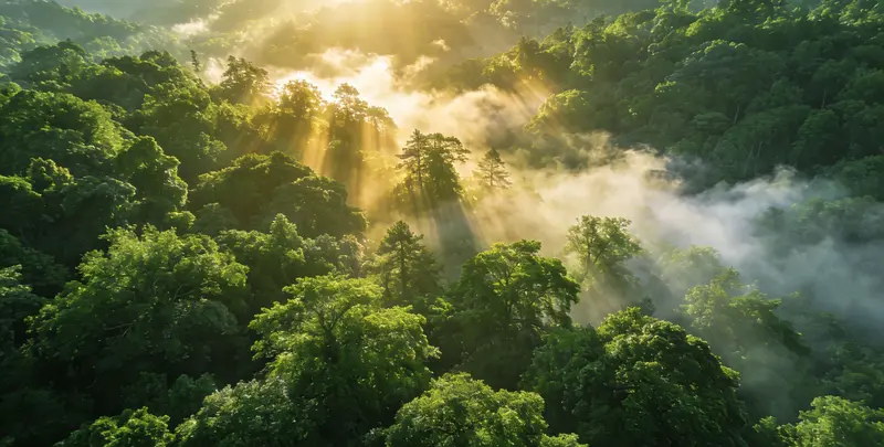 镇江肺癌49基因检测图片1