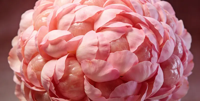 镇江BRCA1/2乳腺癌卵巢癌基因检测图片1