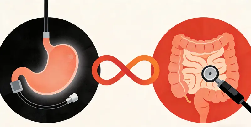 胃癌靶向用药39基因检测（组织）图4